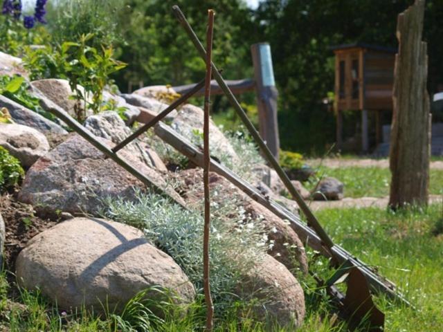Landhotel Zum Honigdieb Ribnitz-Damgarten Eksteriør billede